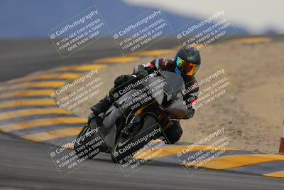 media/Jan-14-2023-SoCal Trackdays (Sat) [[497694156f]]/Turn 12 (120pm)/